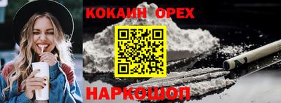 прущие грибы Гусиноозёрск