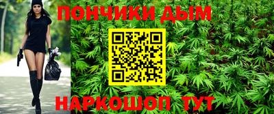 прущие грибы Гусиноозёрск