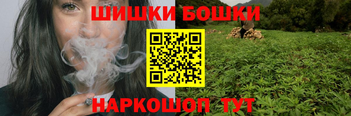 Каннабис конопля Волхов